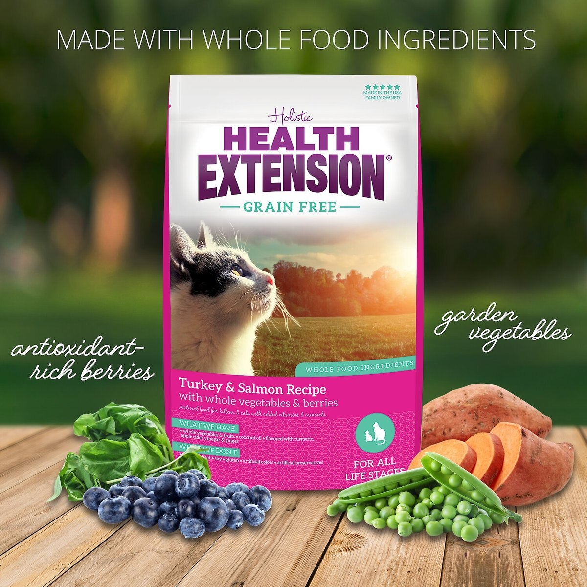 Health Extension Grain-Free Turkey and Salmon Recipe Dry Cat Food