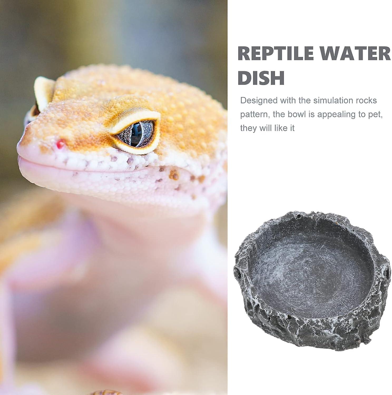 feeding utensils reptile food bowl rock corner bowl turtle food dish bearded dragon water dish lizar