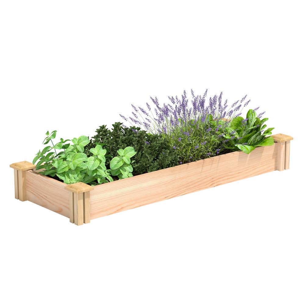 Greenes Fence 16 in. x 4 ft. x 5.5 in. Premium Cedar Raised Garden Bed RC16486P