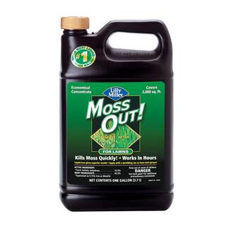 Moss Out! 1 Gal. Moss Out! Moss Killer for Lawns 100099156