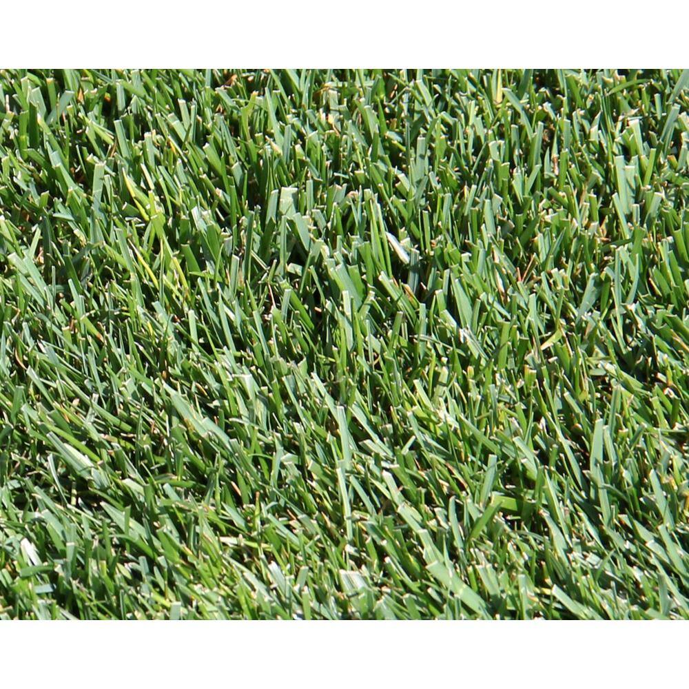 Pennington 9.6 lbs. Tall Fescue Lawn Booster with Smart Seed Fertilizer and Soil Enhancers (2-Pack) 100540514