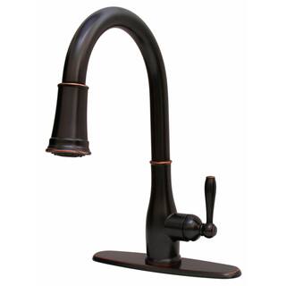 Premier Muir Single-Handle Pull-Down Sprayer Kitchen Faucet in Oil Rubbed Bronze 3585656