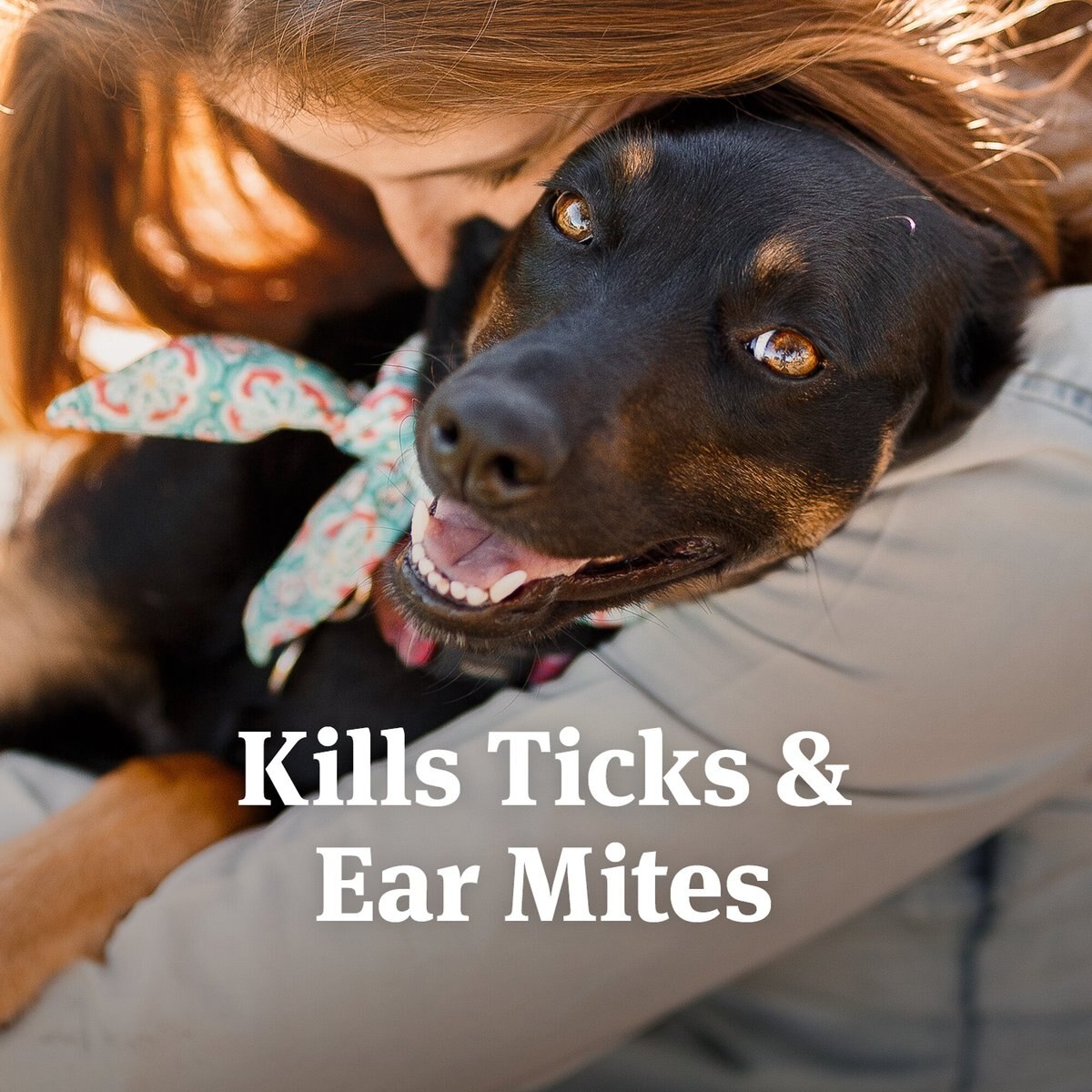 PetArmor Medication for Ear Mites for Dogs