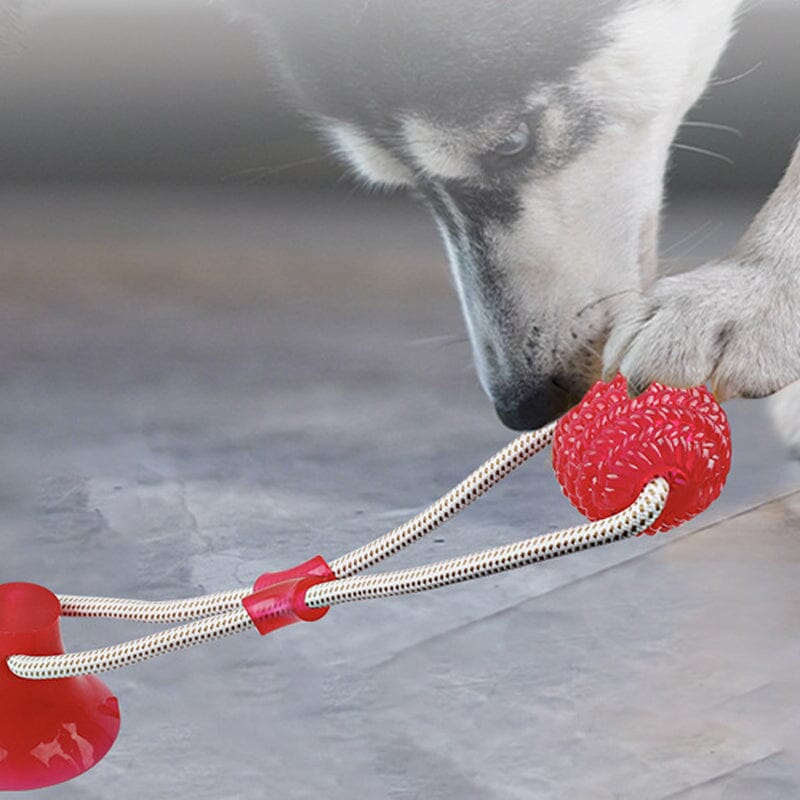 Multifunction Pet Molar Bite Toy