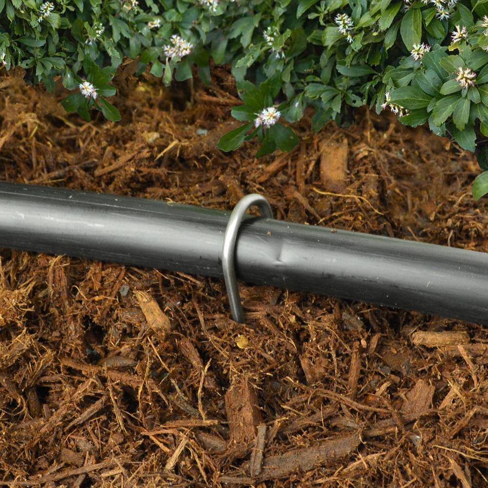 Vigoro 6 in. X 1 in. Galvanized Drip Irrigation Stakes (100-pack) SOD1091RR-100