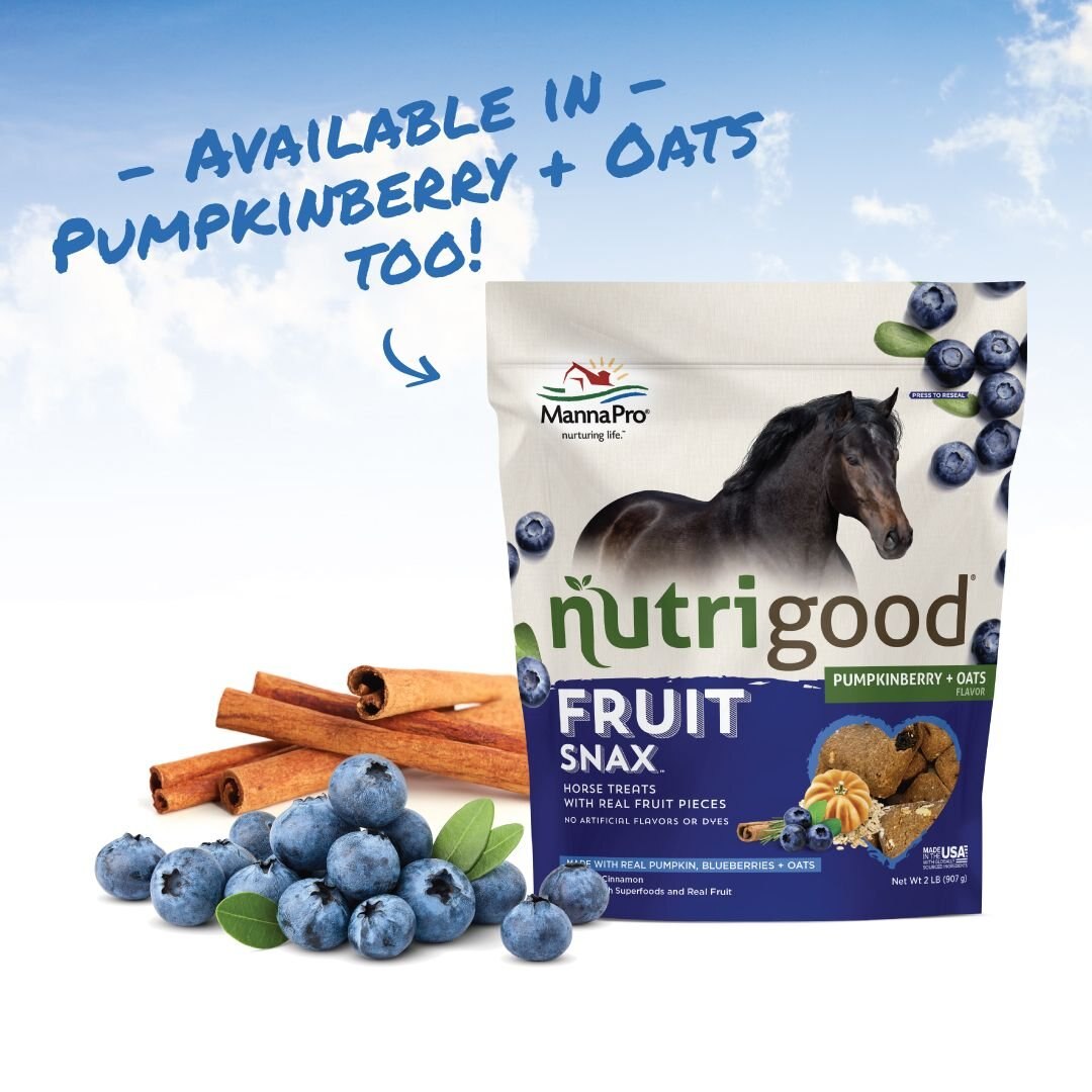 NutriGood FruitSnax BerryMint + Oats Flavor Horse Treat， 2-lb bag