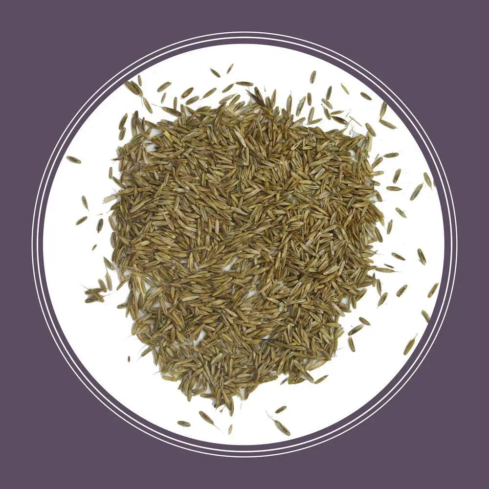 Pennington 50 lb. Annual Ryegrass Grass Seed