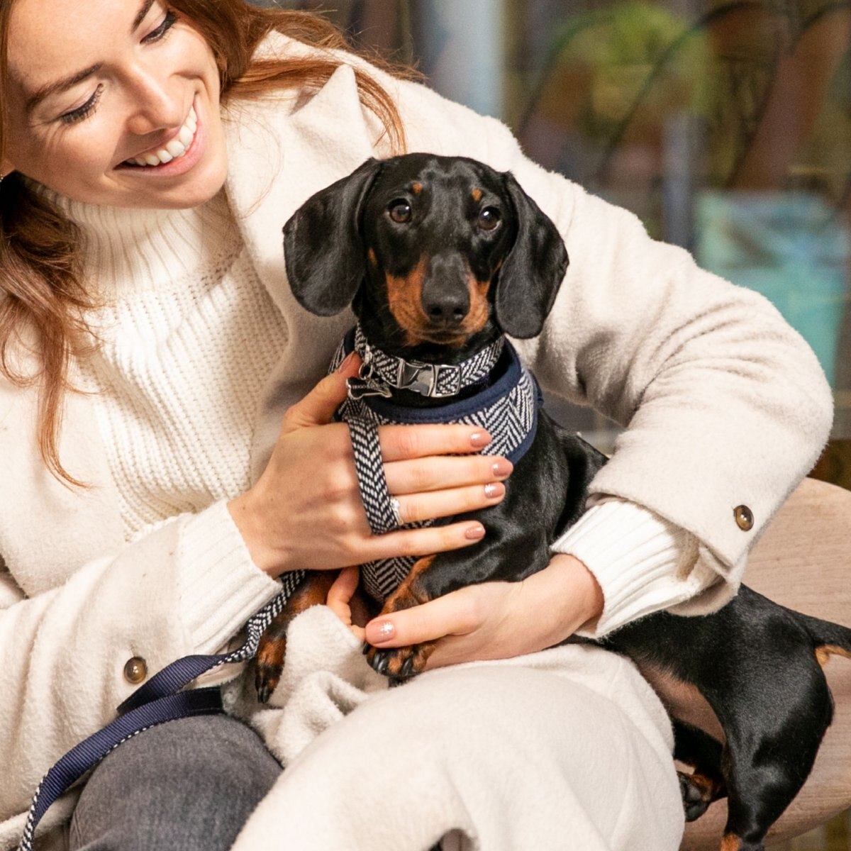 HUGO and HUDSON Herringbone Tweed Metal Buckle Dog Collar