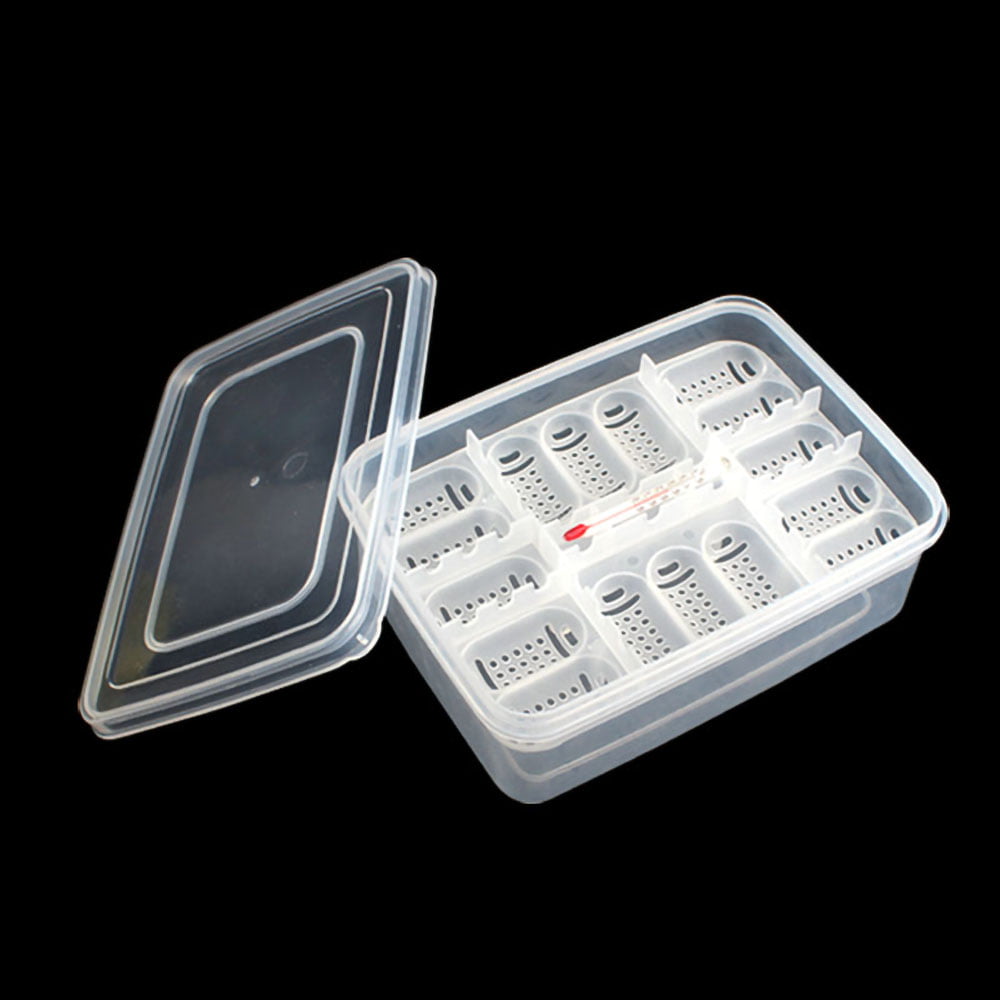 MABOTO Reptile Egg Tray Reptile Egg Box Reptile Breeding Box Reptile Incubation Box Suitable for Hatching Snake Lizards Reptiles with Thermometer