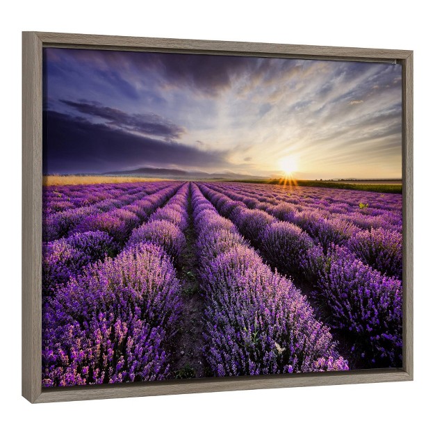 Lavender Sunrise Framed Canvas Wall Art Amanti Art