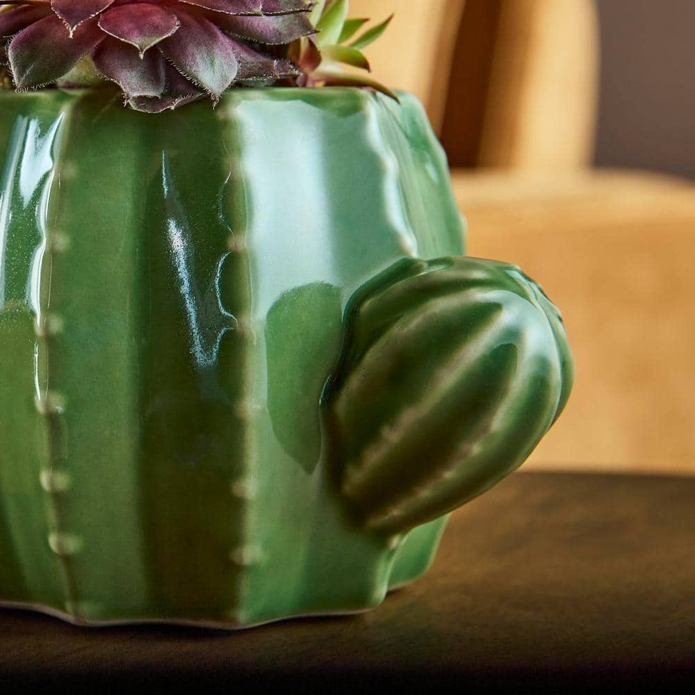 Vigoro 6.7 in. Raker Cactus Small Green Ceramic Pot (6.7 in. D x 3.7 in. H) With Drainage Hole CRM-094258