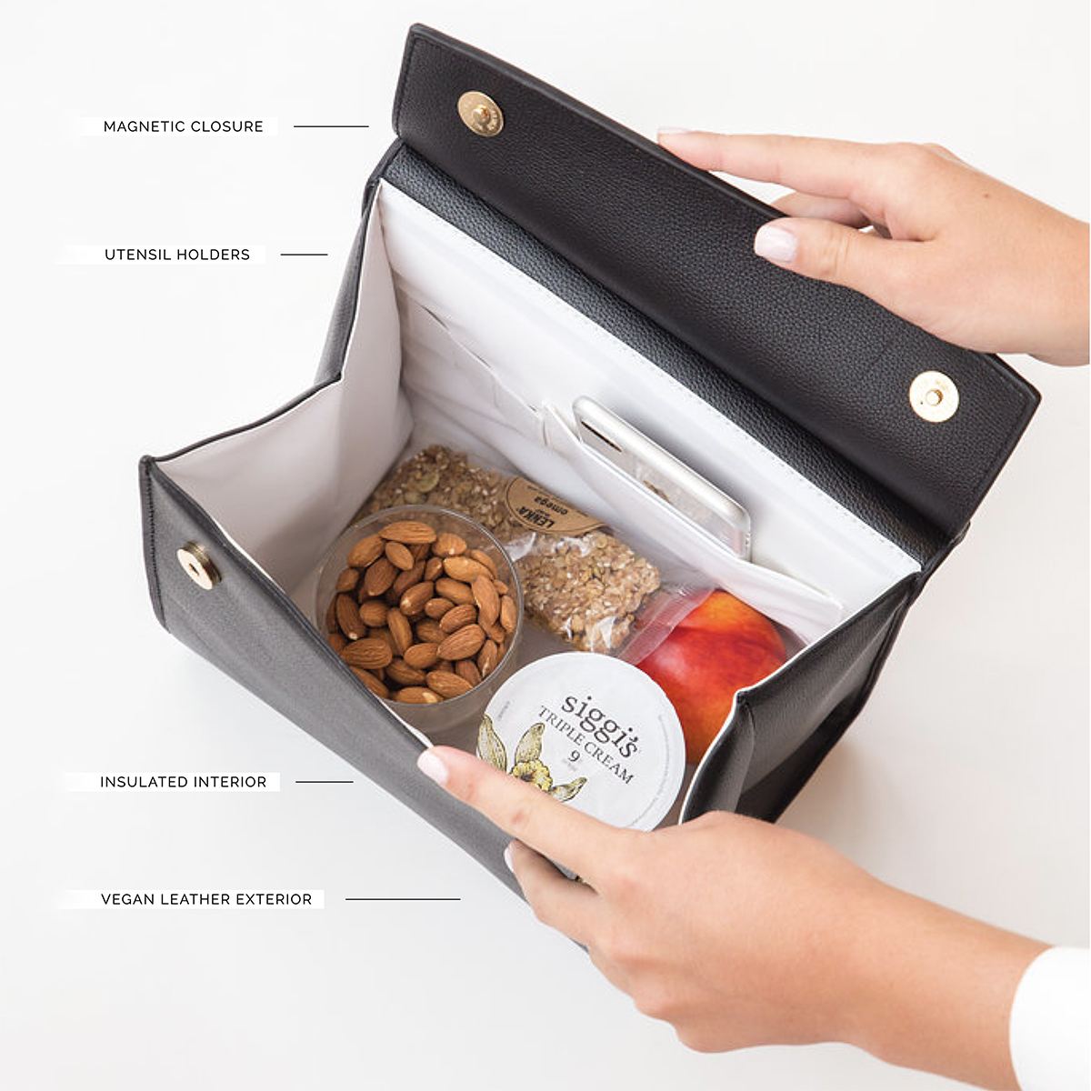 Modern Picnic Luncher Insulated Lunch Bag