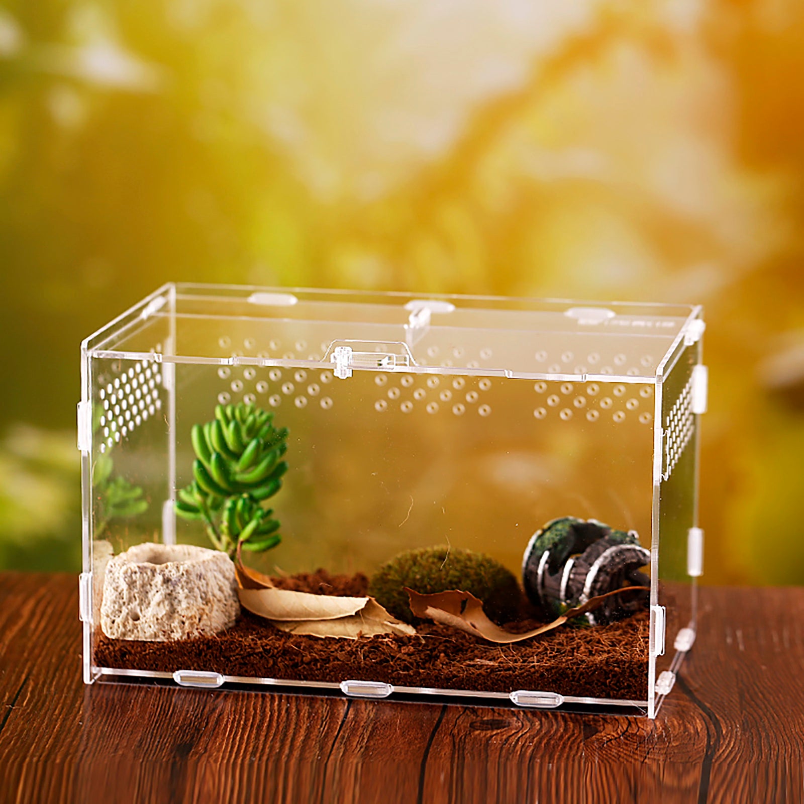 Acrylic Terrarium Spider Terrarium Box Crawling Pet Reptile Terrarium Factory Direct Sales Pet Supplies