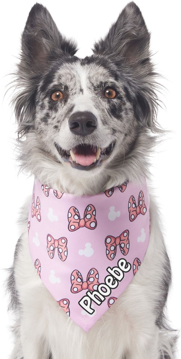 Disney Minnie Mouse Bows Personalized Dog and Cat Bandana