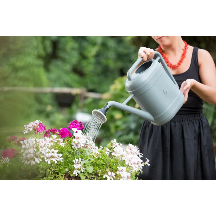 Italian Superfine Quality Durable Garden Supplies Watering Can With Good Plastic Material For Export