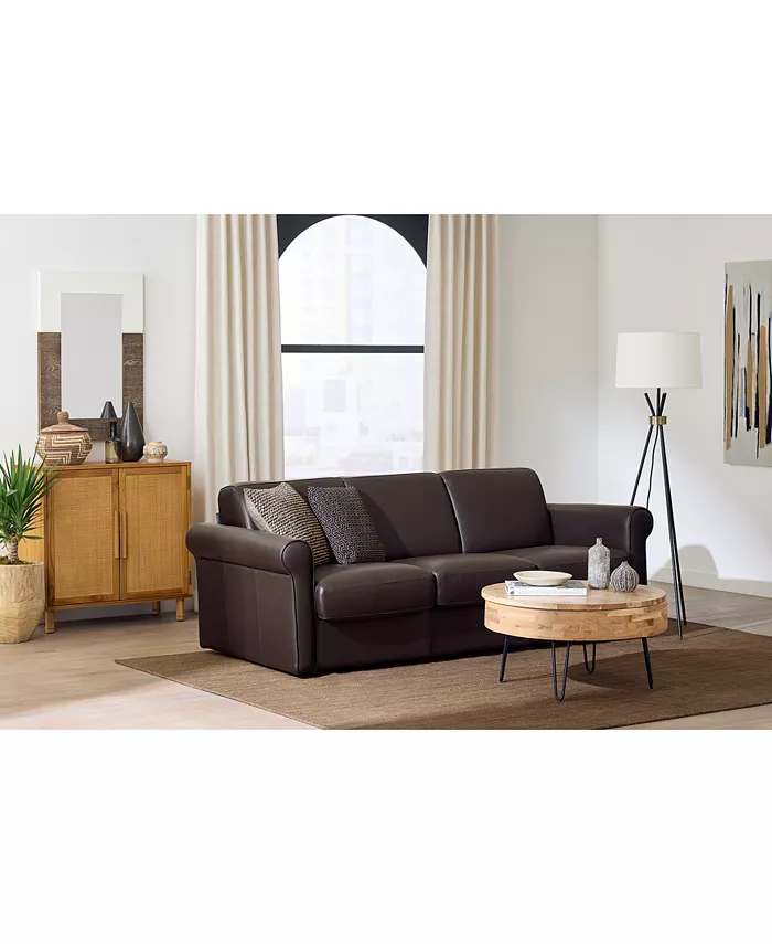 Furniture Elsher Leather Sleeper Sofa