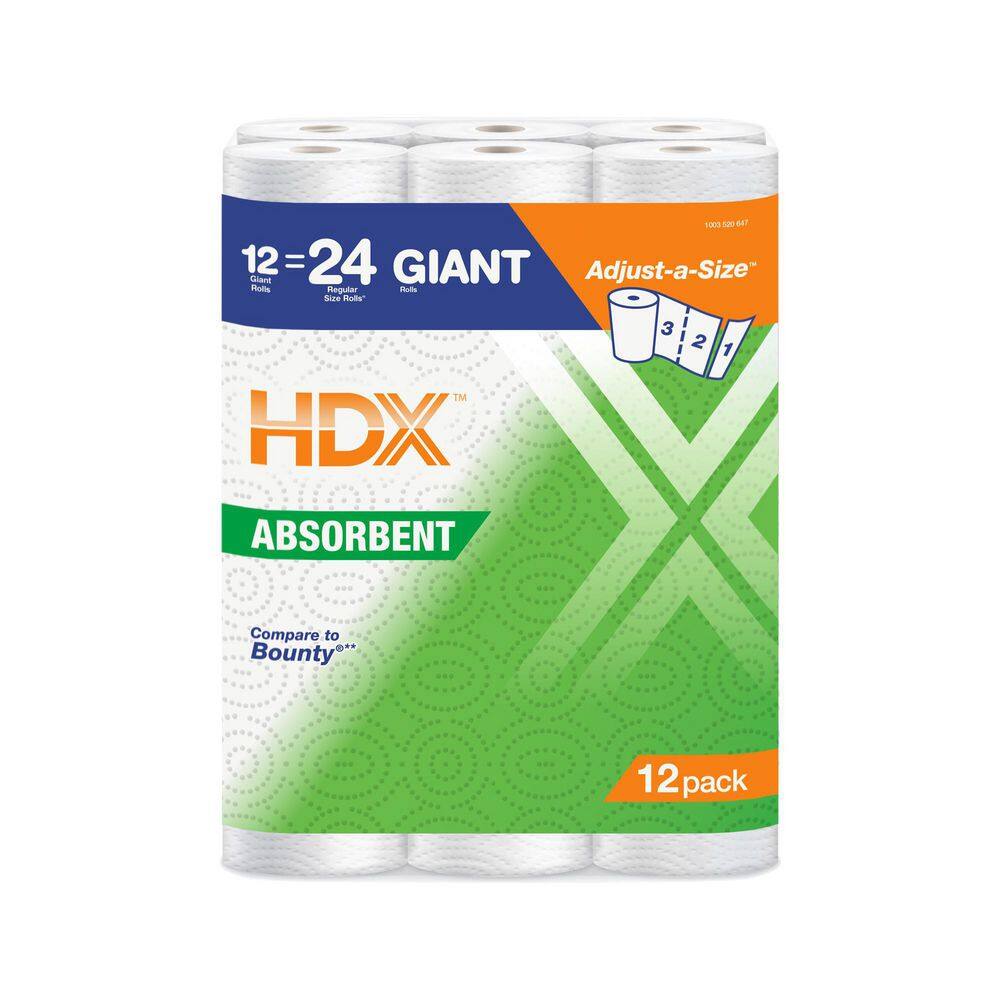 HDX Paper Towels (12-Roll) 22013