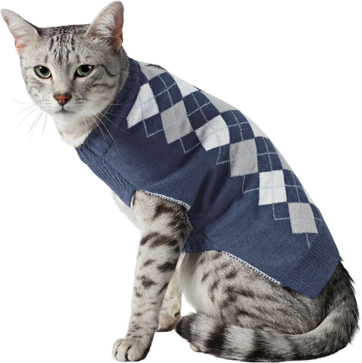 Frisco Argyle Dog and Cat Sweater