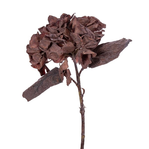 Vickerman 13 Dark Brown Artificial Dried Hydrangea Spray，6 per bag.