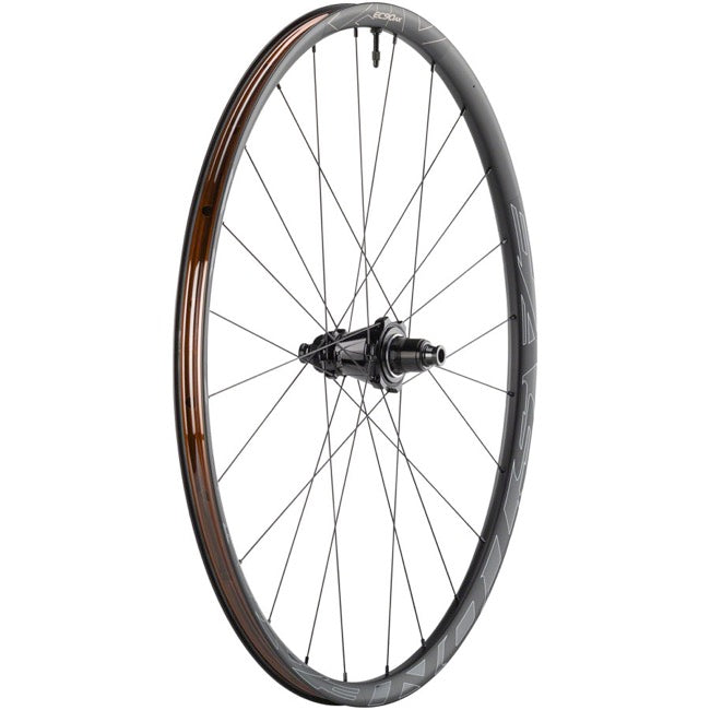 Easton EC90 AX 700c Carbon Disc Wheel - Rear