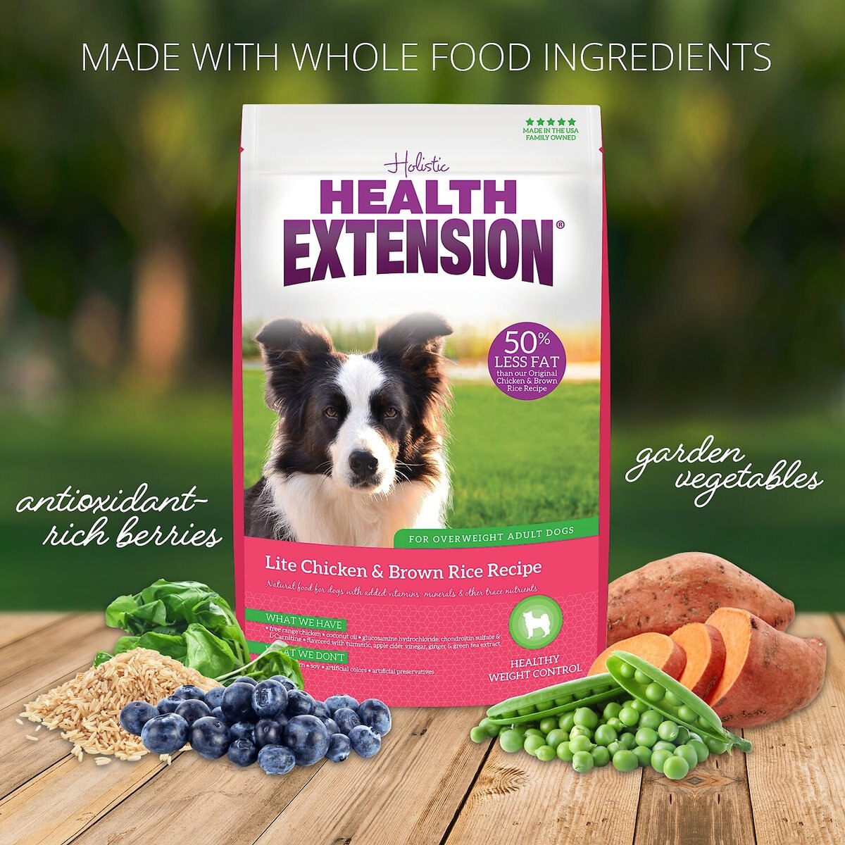 Health Extension Lite Chicken and Brown Rice Recipe Dry Dog Food