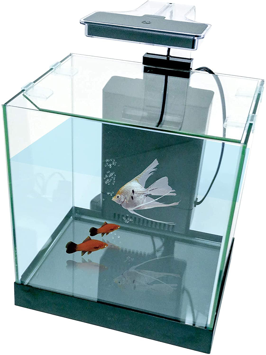 Penn-Plax Cascade Desktop Aquarium Kit Small and Tight Spaces 3.2 Gallons