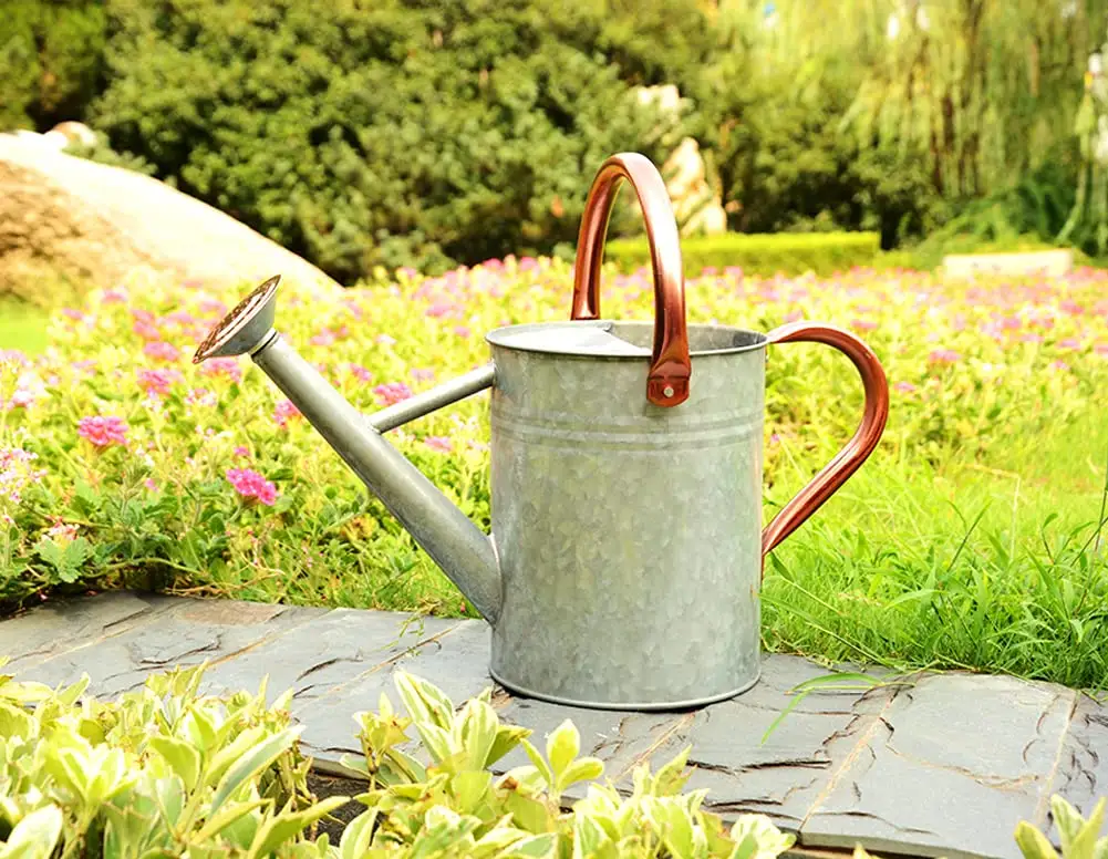 Best Quality Design Metal Watering cane with customize finished for Garden Decoration at Cheap Price