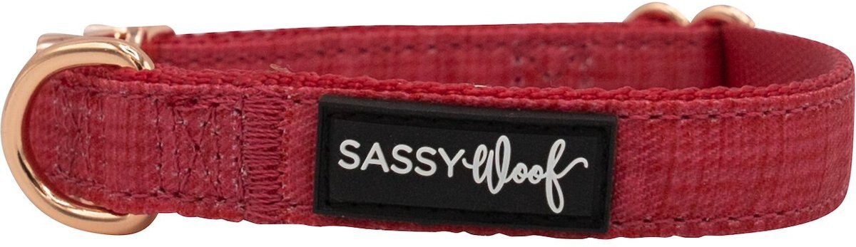 Sassy Woof Dog Collar