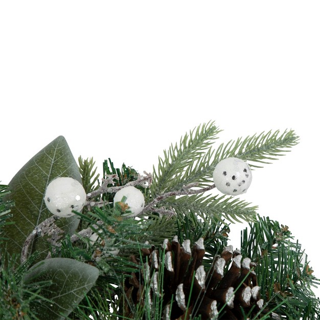 Northlight Frosted White Berry And Mixed Pine Artificial Christmas Wreath 24 inch Unlit