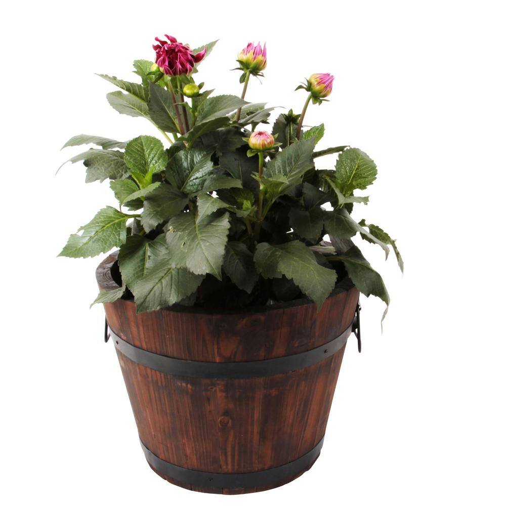 Leisure Season Large Barrel Style 26 in. W x 26 in. D x 17 in. H Round Wooden Brown Planters (4-Pack) BROP101