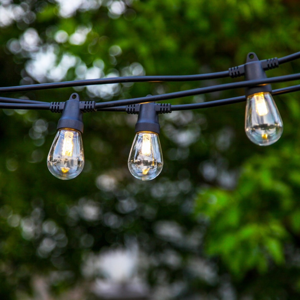 Ambience Pro  Weatherproof  Solar Outdoor String Lights  1W  3000K   Midcentury   Outdoor Rope And String Lights   by Brightech  Houzz