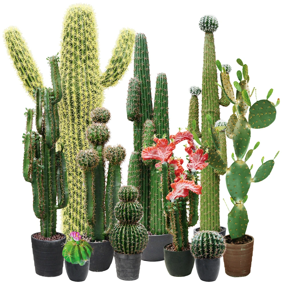 Globose Artifical Cactus Plant Garden Landscape Cactus Decorations Suppliers