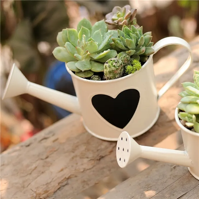 White garden tool watering can decorative home garden planter pot