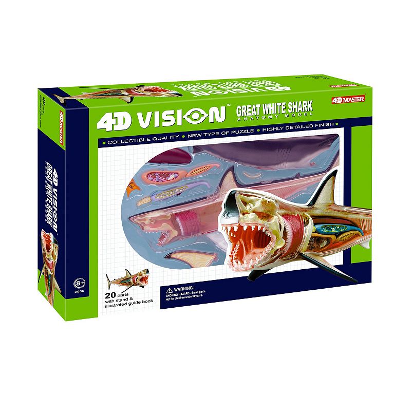 4D Vision Shark Model by 4D Master