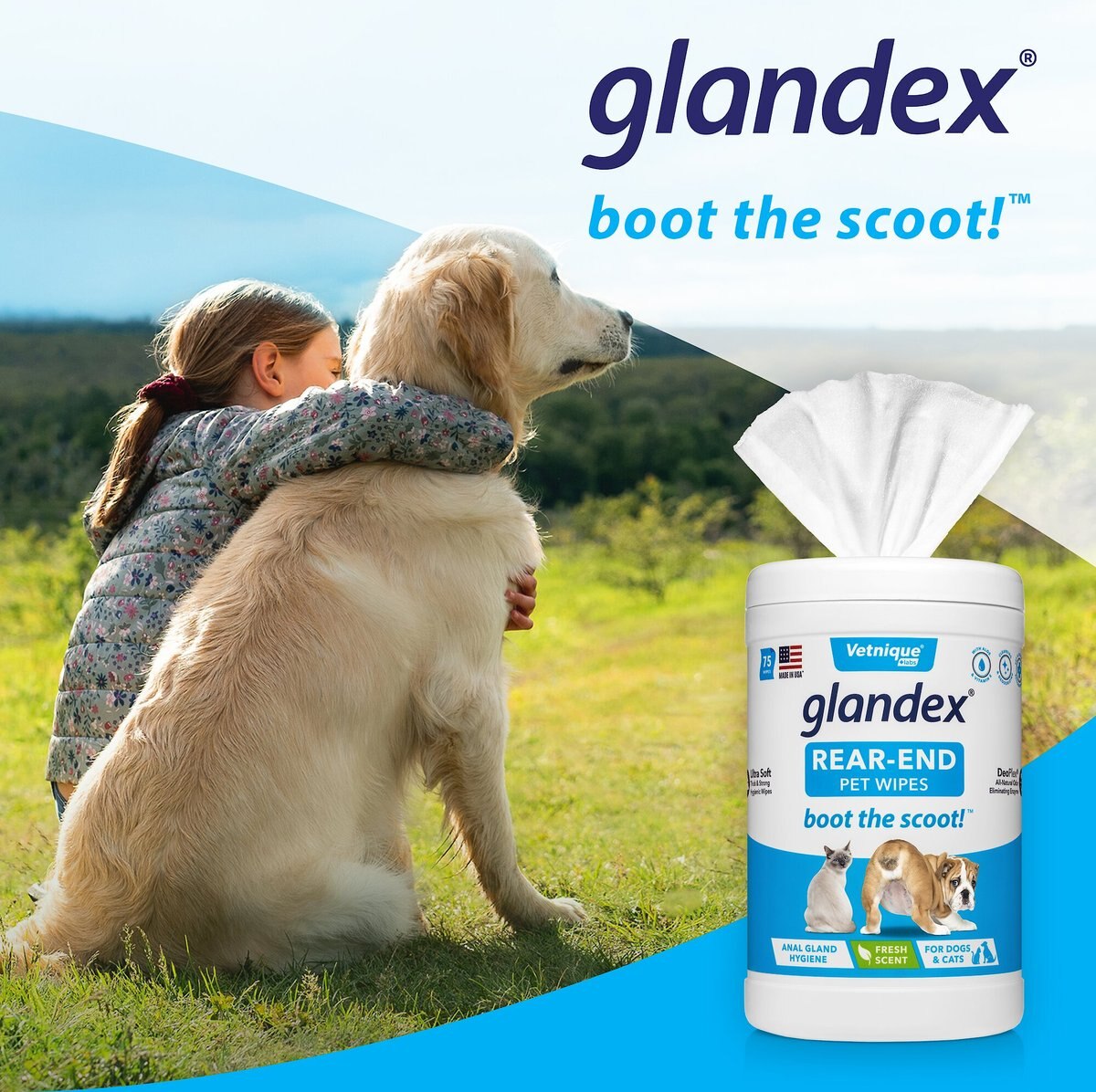 Vetnique Labs Glandex Wipes Cleansing and Deodorizing Anal Gland Hygienic Rear End Dog and Cat Wipes