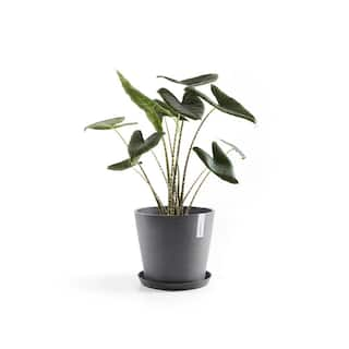 O ECOPOTS BY TPC Amsterdam 10 in. Grey Premium Sustainable Planter ( with Saucer) AMS.25.GR