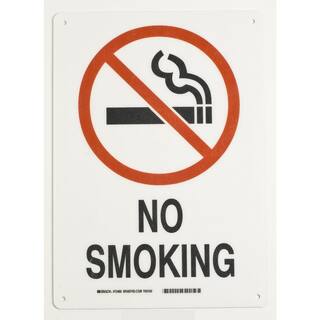 Brady 14 in. x 10 in. Fiberglass No Smoking Sign 73486