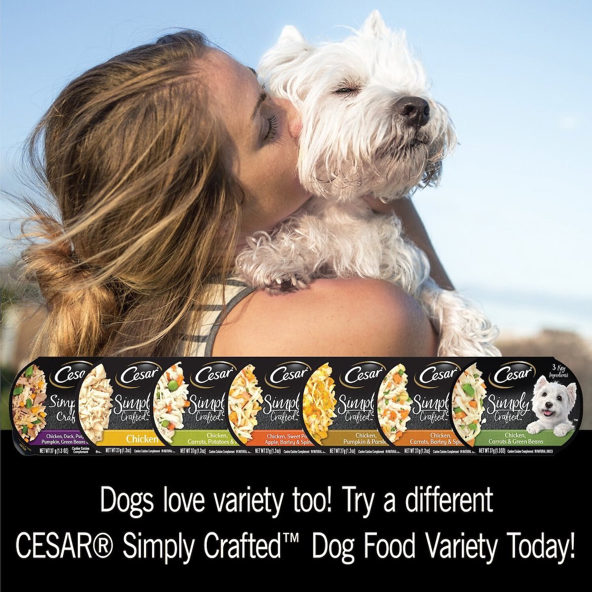 Cesar Simply Crafted Chicken， Duck， Purple Potatoes， Pumpkin， Green Beans and Brown Rice Wet Dog Food Meal Topper， 1.3-oz tray， case of 10