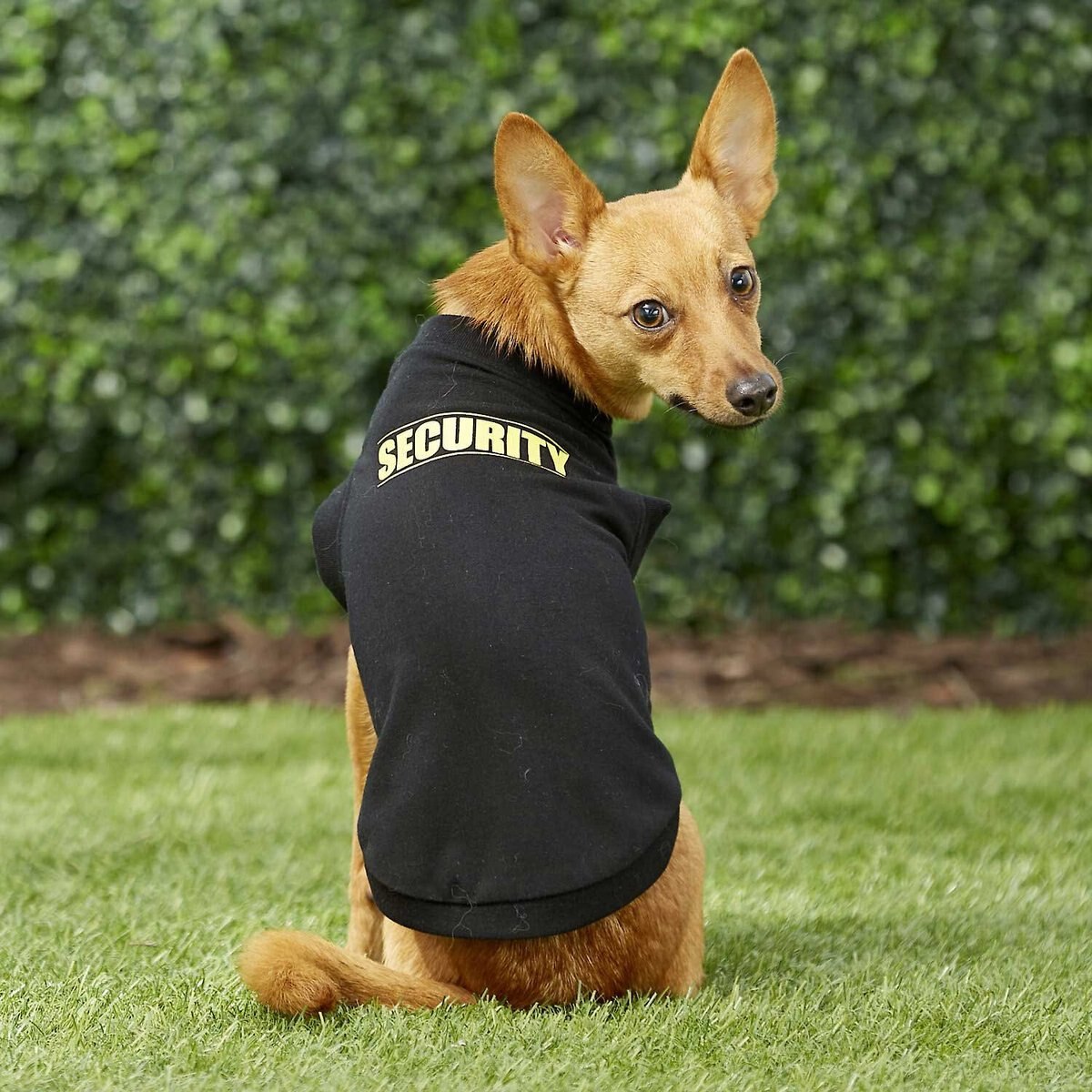 Frisco Security Dog and Cat T-Shirt