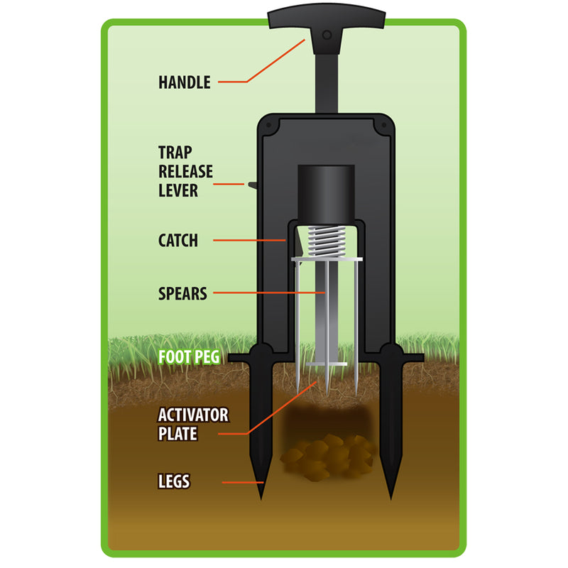 DEADSET MOLE TRAP