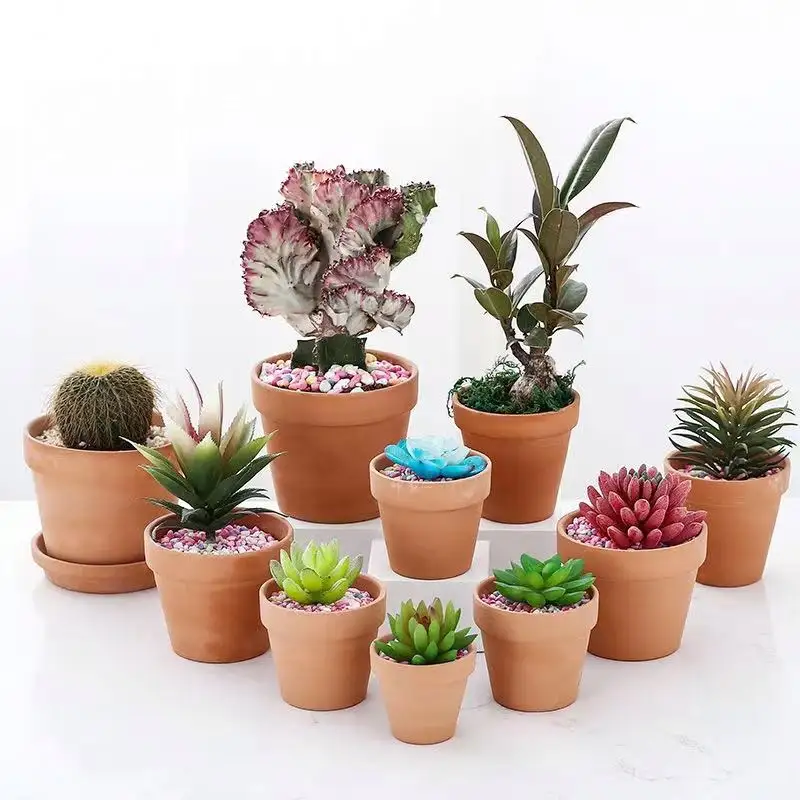 China Factory Supply Tray  Indoor Home Planter Garden Decorative PP Flower Pots Outdoor Plants Planters/