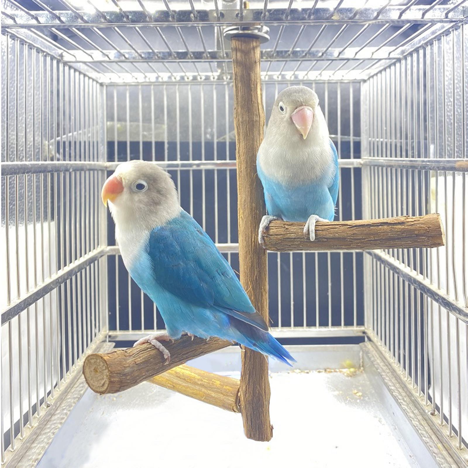 Bird Perches Paw Grinding Standing Stick Wooden Pole Bird Cage Accessories