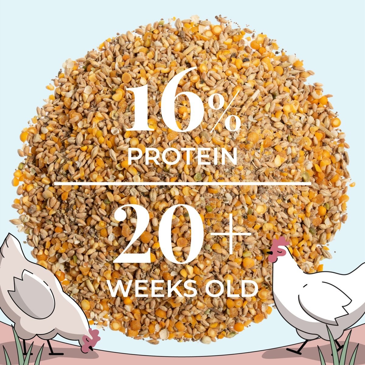 Mile Four 16% Organic Whole Grain Layer Chicken and Duck Feed