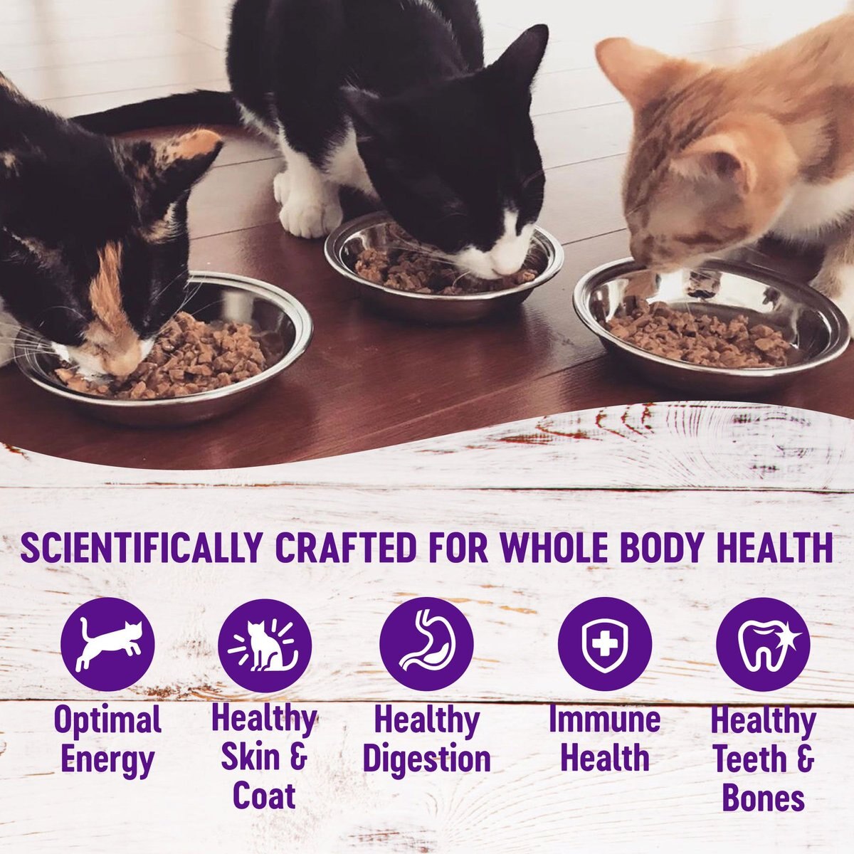 Wellness Complete Health Beef and Salmon Formula Grain-Free Canned Cat Food