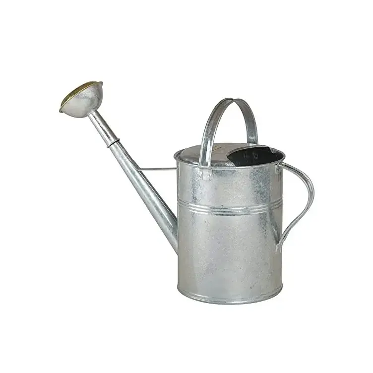 Metal Watering Cans For House Plants polish finish And Painted Finishing Design Water Storage Can Garden Decor Design