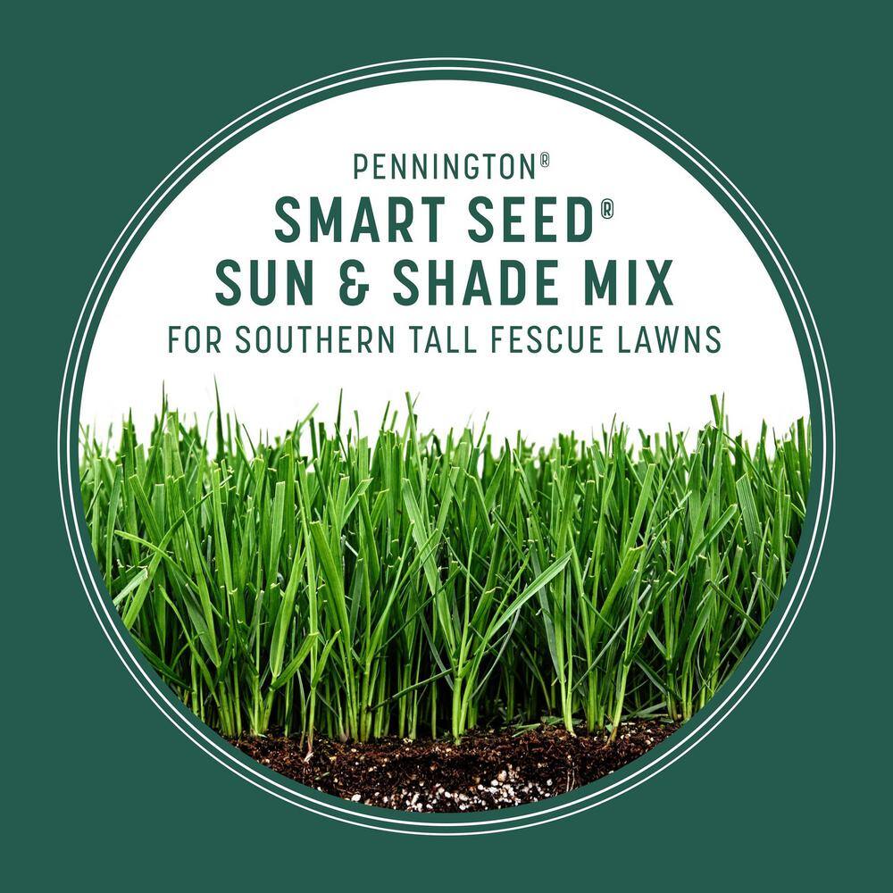 Pennington Smart Seed 3 lbs. Sun and Shade South Grass Seed and Fertilizer (2-Pack) 100543722