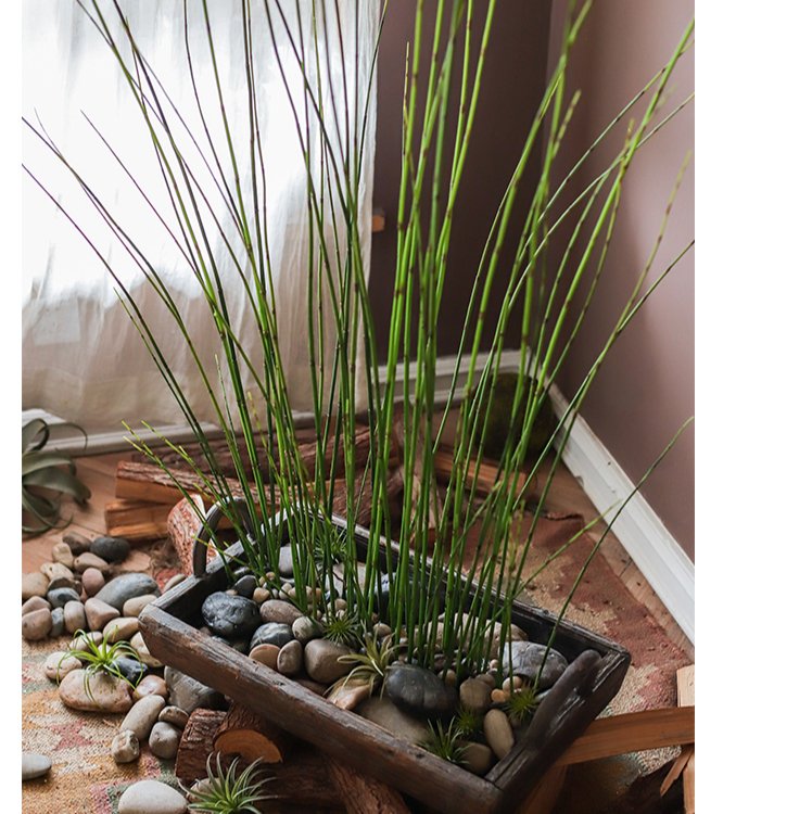 Artificial Faux Rough Horsetail Plant Long Stem 54