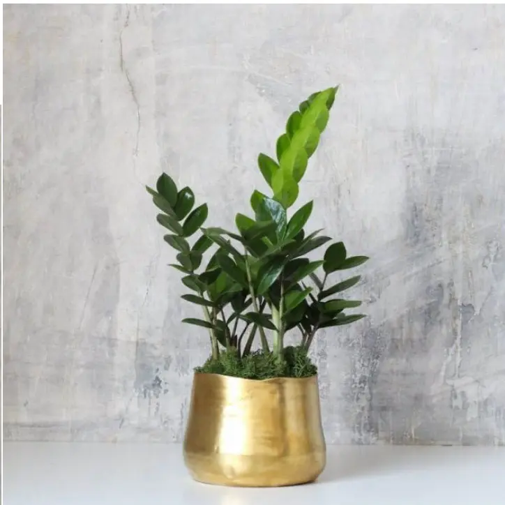 Sustainable Quality Decorative  Handmade Gold Metal Planters for Garden Home Plant Flower  Luxury Floor Planter