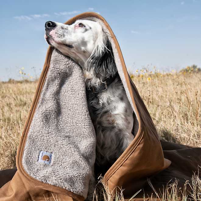 Carhartt 59 in Dog Blanket