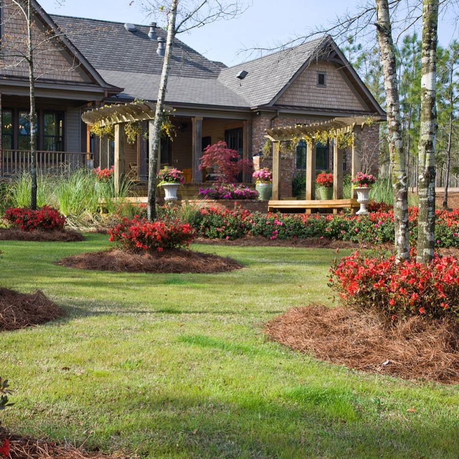 Encore Azalea Autumn Embers (1 Gallon) Red Pink Flowering Shrub - Full Sun Live Outdoor Plant